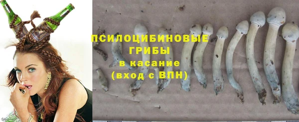мдпв Верхний Тагил
