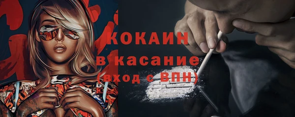 ГАЛЛЮЦИНОГЕННЫЕ ГРИБЫ Верея