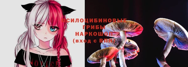 мдпв Верхний Тагил