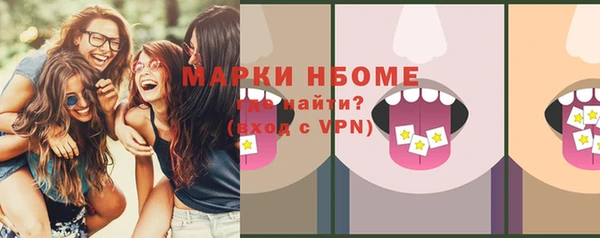 мдпв Верхний Тагил