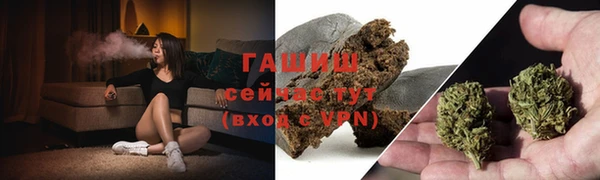 ГАЛЛЮЦИНОГЕННЫЕ ГРИБЫ Верея