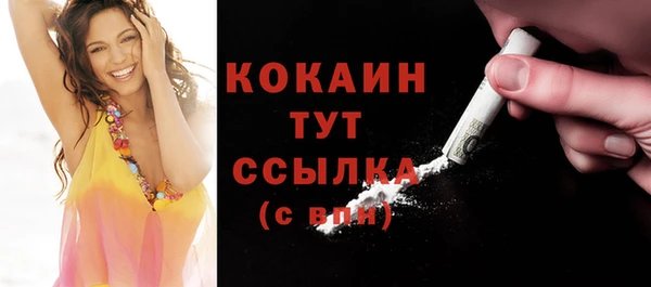 ГАЛЛЮЦИНОГЕННЫЕ ГРИБЫ Верея