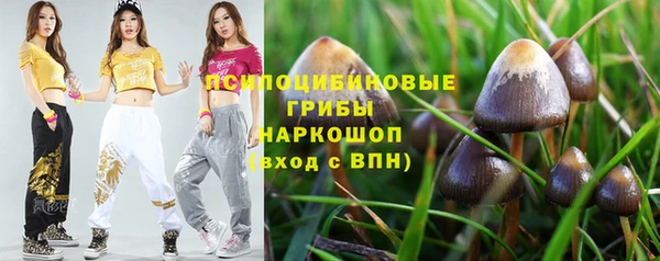 мдпв Верхний Тагил