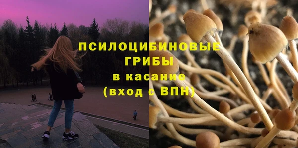мдпв Верхний Тагил