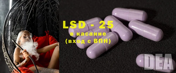 ГАЛЛЮЦИНОГЕННЫЕ ГРИБЫ Верея