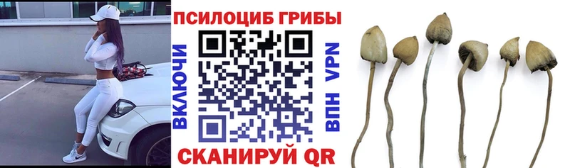 Псилоцибиновые грибы прущие грибы  ОМГ ОМГ зеркало  Нижний Новгород 